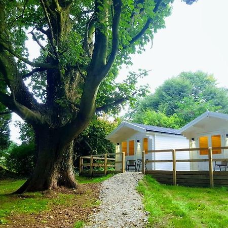 Dunmore Gardens Log Cabins Carrigans  Экстерьер фото